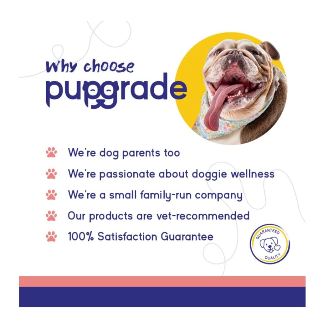 PupGrade Skin & Coat Chews for Dogs with Omega-3s & Antioxidants for Itchy Skin - Picture 6 of 7